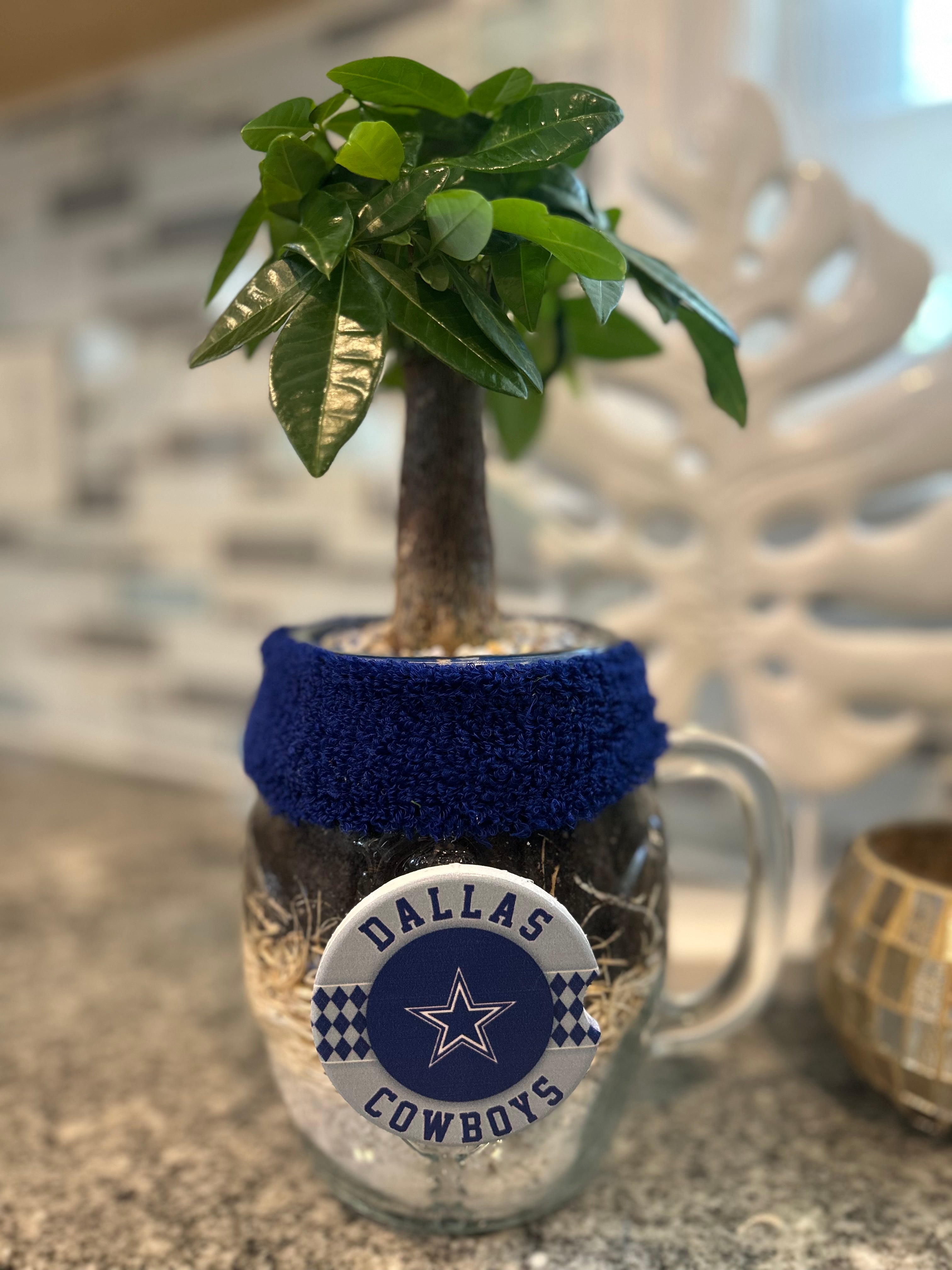 Football Planter Mugs